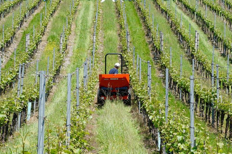 Control la Agenţia de Plăţi în Agricultură