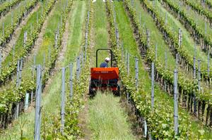 Control la Agenţia de Plăţi în Agricultură