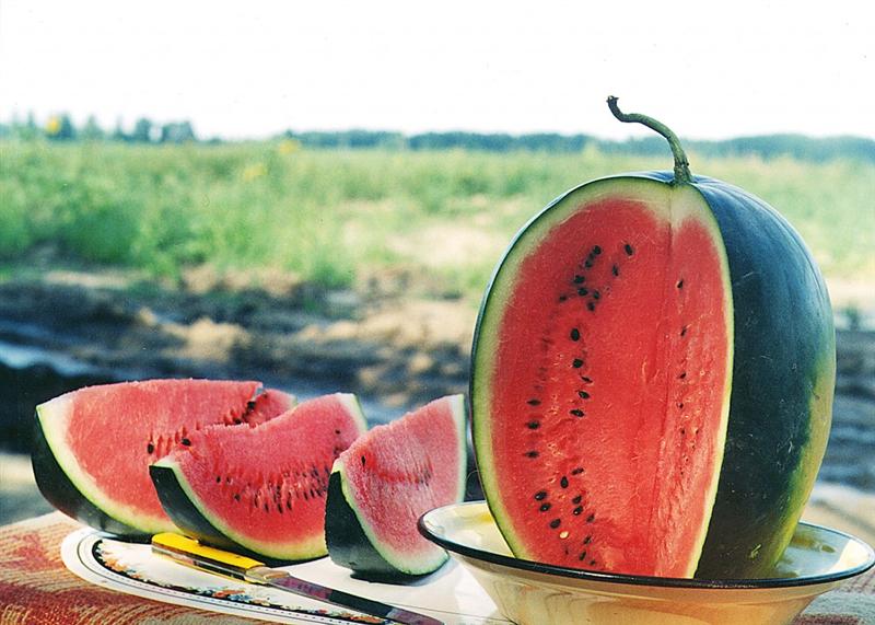 Etichete pentru pepeni. Datele pe care trebuie să le afişeze de acum producătorii agricoli