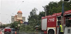 Clujul, sub cod portocaliu de vijelie. Copaci căzuţi, un acoperiş distrus şi cabluri ale CTP afectate