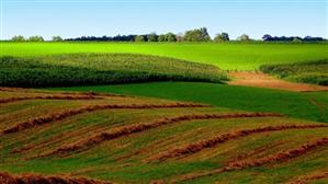 Terenurile agricole lucrate şi utilajele agricole nu vor mai fi impozitate