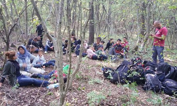 Numărul refugiaţilor care încearcă să intre ilegal în România, în creştere. 25 de imigranţi, depistaţi de poliţiştii de frontieră