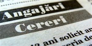 Peste 800 de locuri de muncă vacante la Cluj. Ce domenii vizează cele mai multe oferte