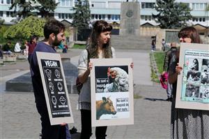 Marş vegan la Cluj