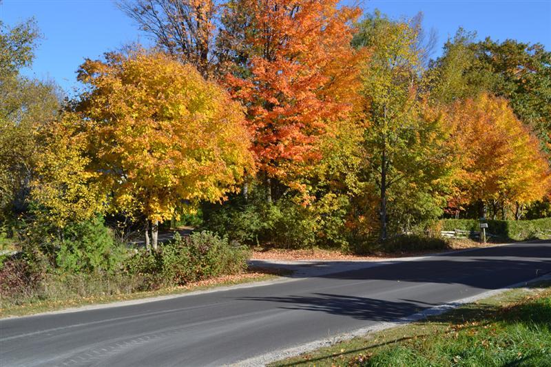 Septembrie vine cu temperaturi mai ridicate decât media perioadei. Până la 34 de grade în unele zone