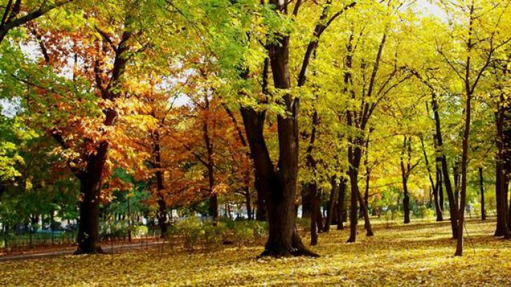 Vreme predominant frumoasă şi caldă la final de săptămână. Prognoza pe Cluj