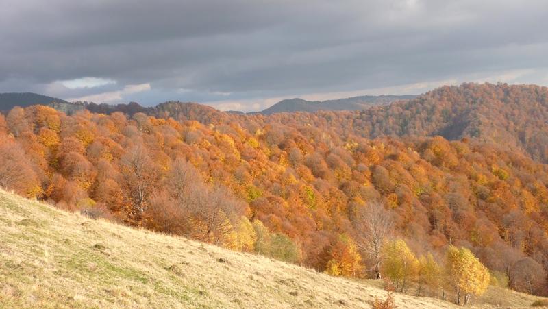 Vremea se răceşte. Prognoza meteo pentru miercuri şi joi