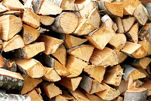 Proiect: TVA de 5% pentru lemnul de foc livrat către persoanele fizice