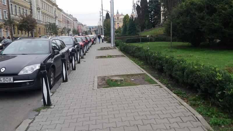 Se întorc castanii în Piața Avram Iancu. Vin împreună cu pomi fructiferi