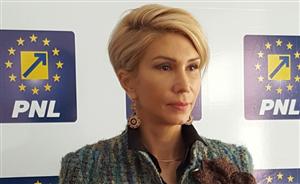 PNL, atac la Constituție