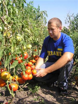 1,7 miliarde de euro pentru investiţii în agricultură. Tinerii cer cei mai mulţi bani