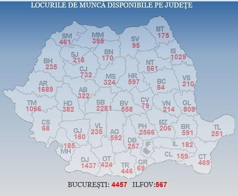 HARTA ofertelor de muncă în România. Ce meserii de caută