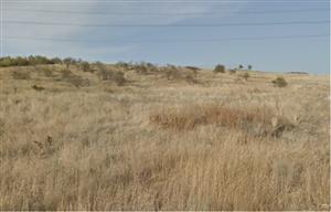 Clujul vrea să amenajeze un parc nou, din bani europeni. Va avea și un lac de 2-3 hectare