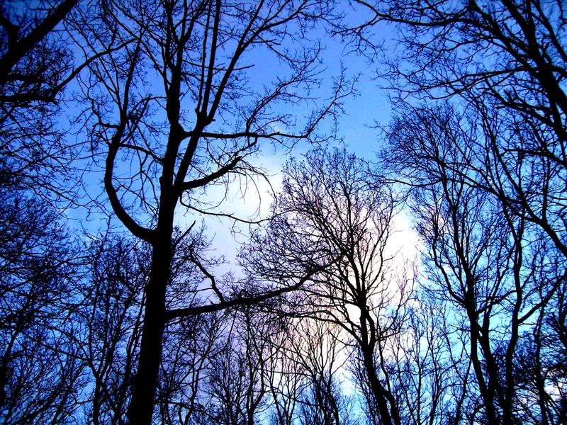 PROGNOZA METEO pentru sâmbătă şi duminică | Vremea se va menţine în general închisă