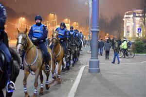 PNL o convoacă pe Carmen Dan la Parlament