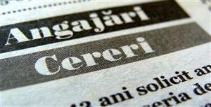 Peste 1.000 de locuri de muncă disponibile la Cluj. Ce meserii se caută
