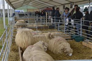 Tinerii fermieri şi agricultura ecologică, la mare căutare la Cluj