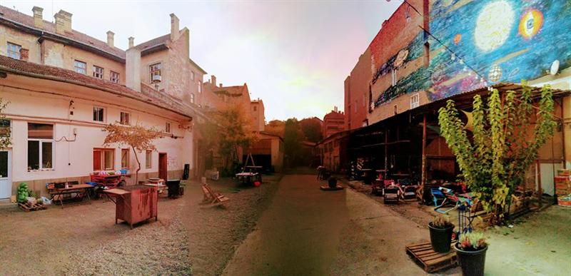 Târg de Nebrazi la Cluj