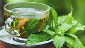Menta, un miracol pentru sănătate. 10 beneficii într-o plantă ce creşte în grădină