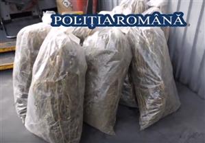 O tonă de droguri confiscate, distruse de poliţişti. Peste 300 kg aduse în ţară de un clujean 