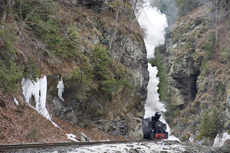 Cât costă vacanţa de Crăciun în Bucovina. Turiştii, ademeniţi cu sănii trase de cai şi plimbări cu Mocăniţa