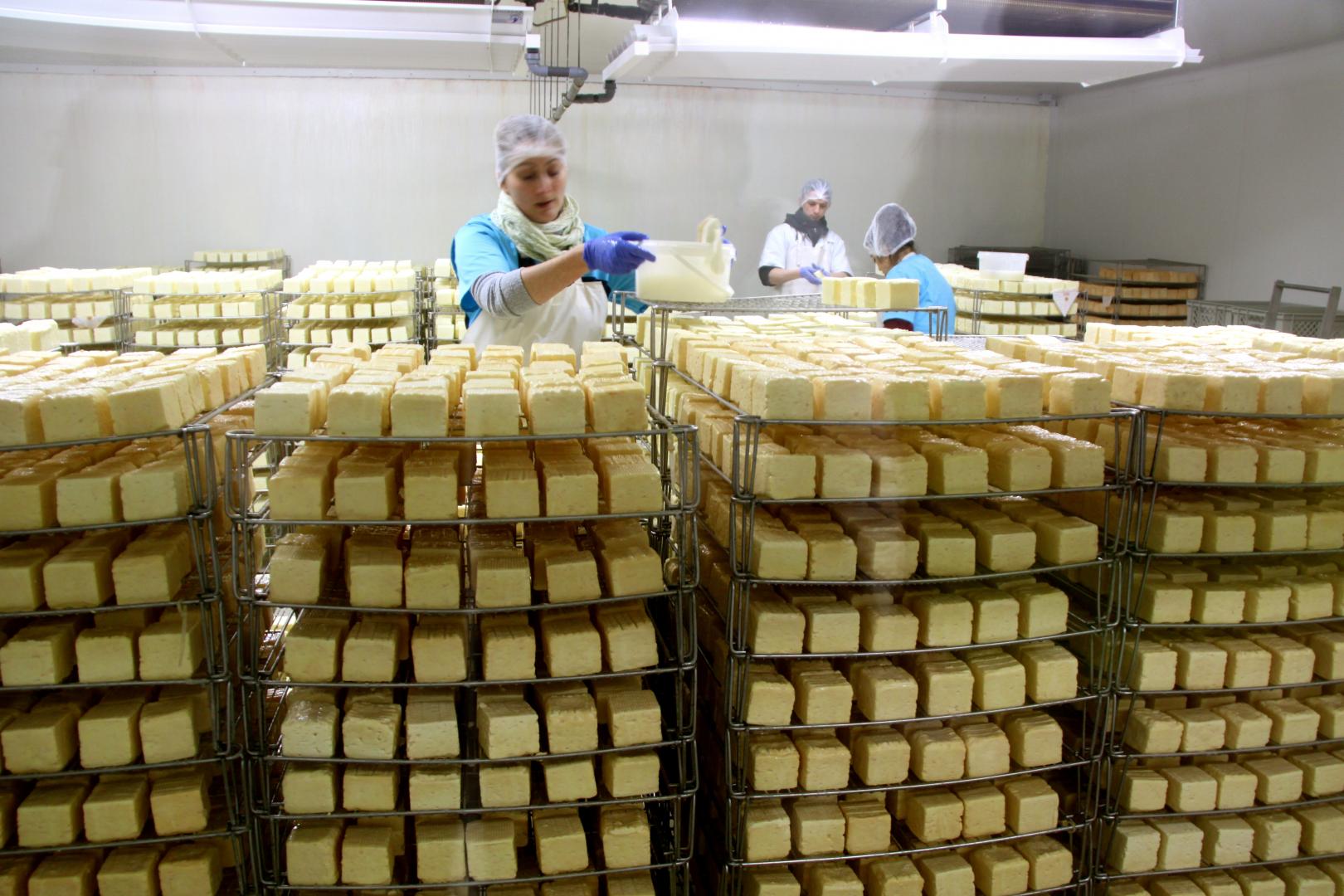 Gardienii delicateselor Europei