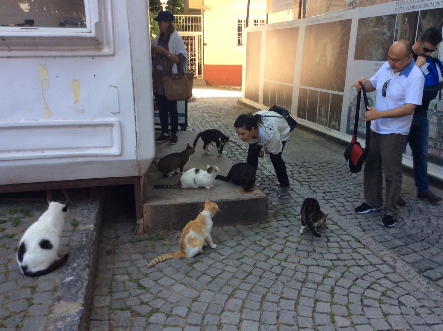 Orașul care unește continente. Sau cum plăcerea se transformă în bani