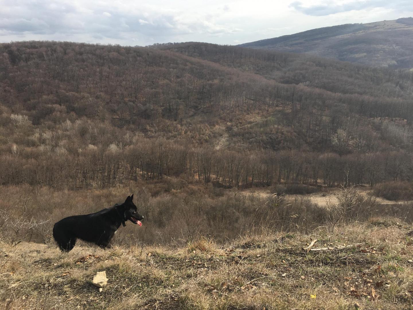 S-au mutat la Cluj şi îşi dedică viaţa 