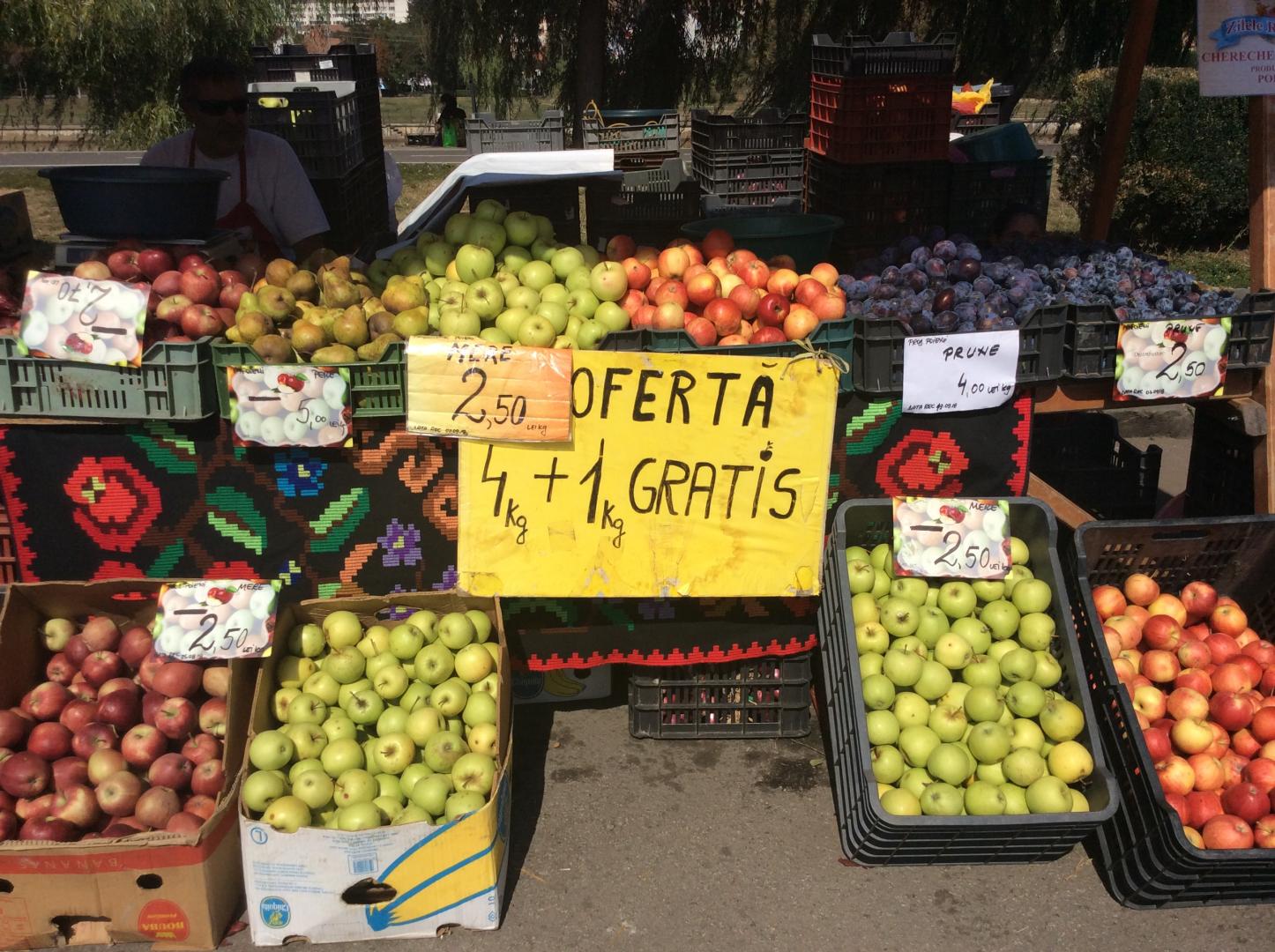 Au început Zilele Recoltei la Sala Sporturilor. Europa, cu ochii pe Cluj
