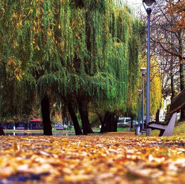 Cluj: 5 locaţii în aer liber, unde poţi admira culorile toamnei