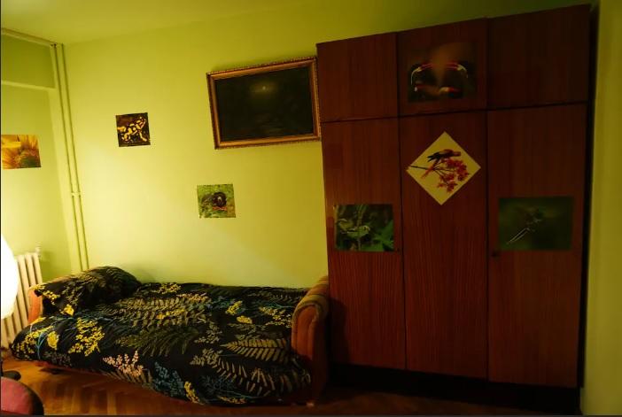 Cazarea la Untold  2019. O vilă: 1.000 dolari/ noapte, un apartament cu câini: 11 euro