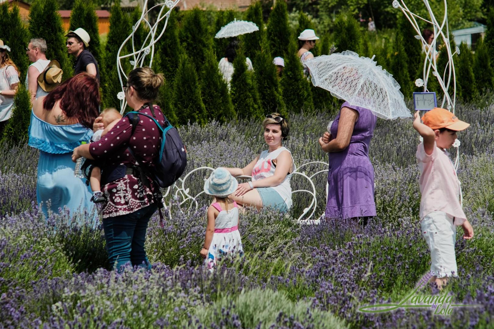O afacere cu lavandă înfloreşte la doi paşi de Cluj. În spatele îndeletnicirii cu "aurul mov" sunt trei femei - mamă, fiică şi bunică
