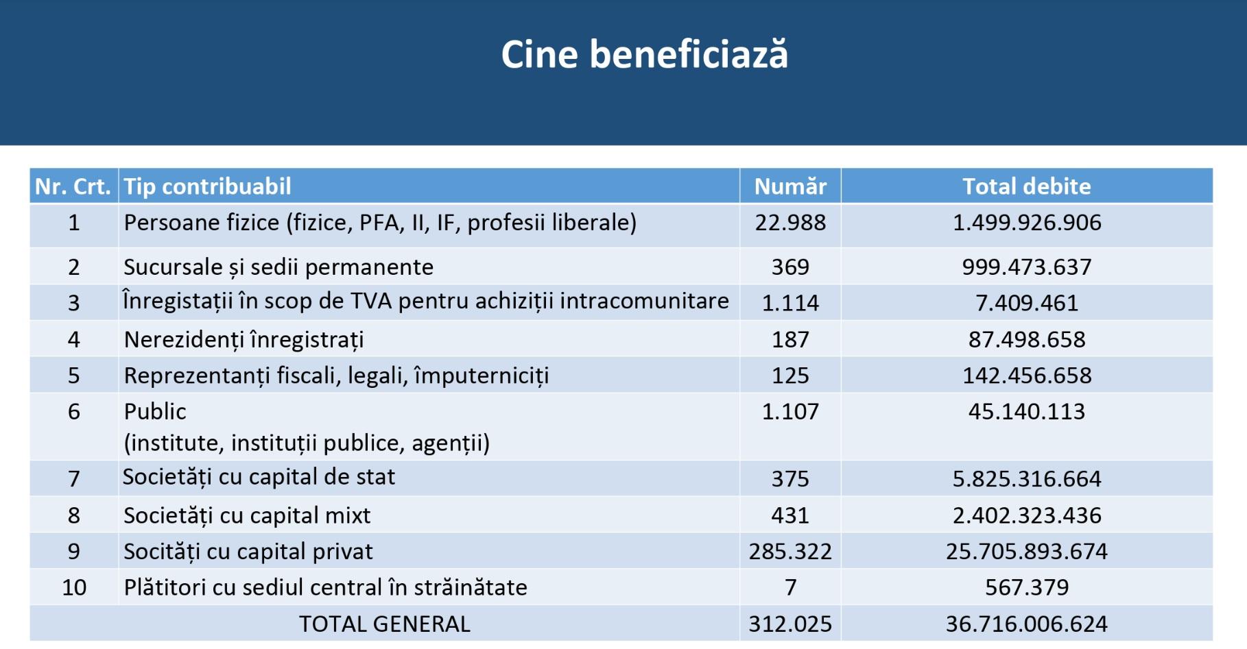 Guvernul a adoptat amnistia fiscală