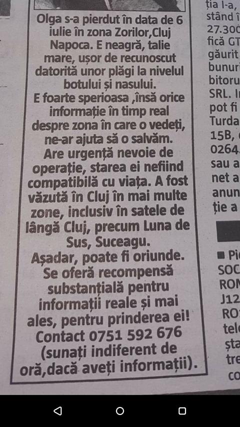 Ați văzut-o? Cățelușa are nevoie urgentă de operație. Se oferă recompensă pentru găsirea ei
