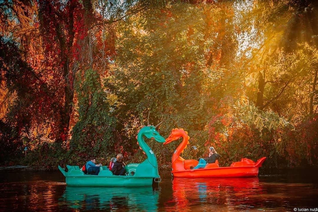 Toamna la Cluj, în 10 fotografii care îți taie suflarea