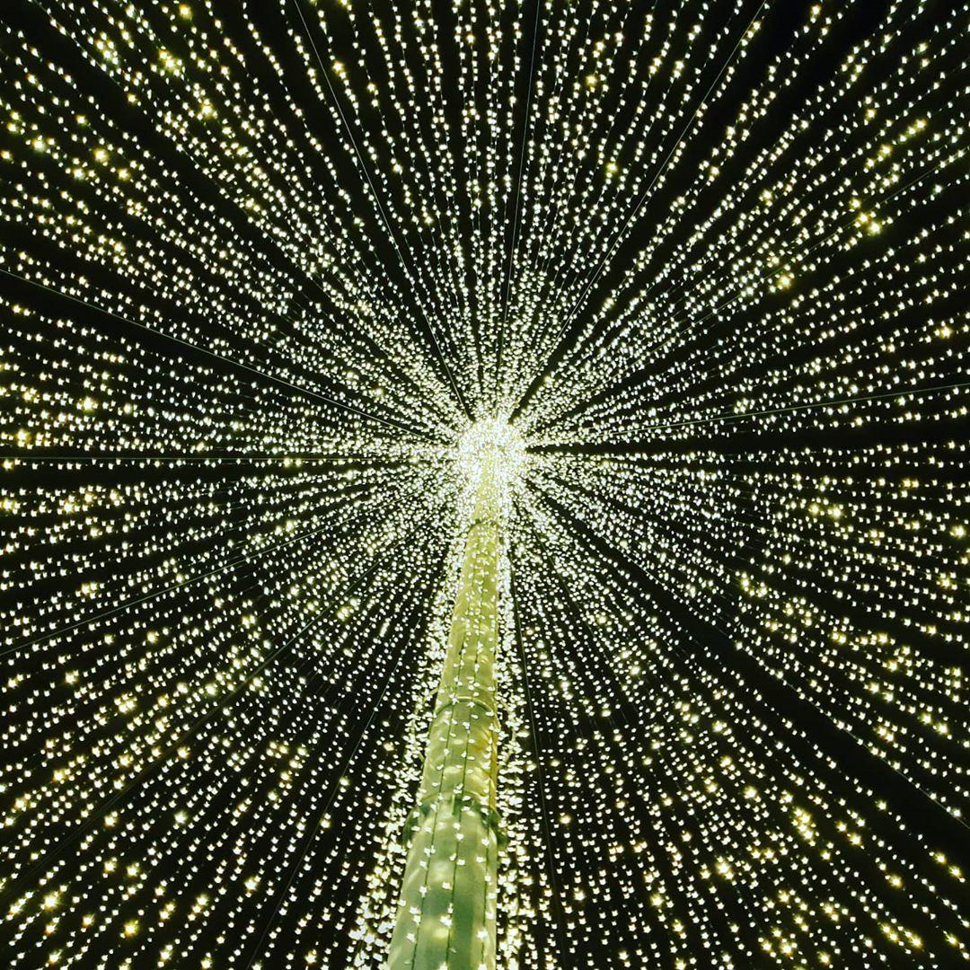Clujul luminos. Magia sărbătorilor, în 10 fotografii din capitala Transilvaniei