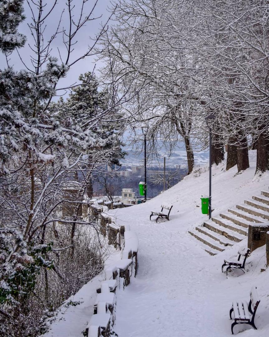 FOTO: Clujul sub zăpadă. 15 imagini superbe cu oraşul acoperit de omăt