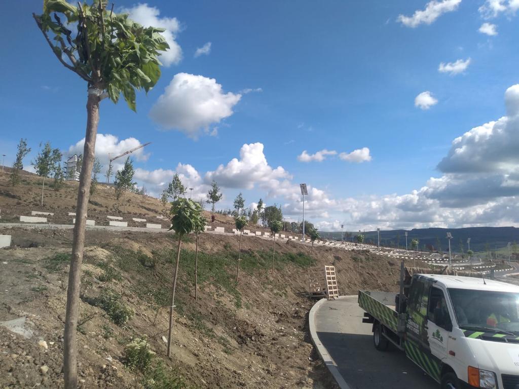 Cimitirul de pe Moș Ioan Roată va fi gata în toamnă. Va fi primul cimitir-parc din Cluj, pe model american