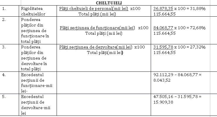 Cum arată execuția bugetară la CJ Cluj pe primul trimestru din 2020