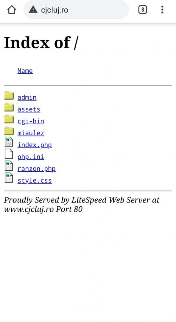Hackerii au spart site-ul Consiliului Județean Cluj. Ce răscumpărare cer