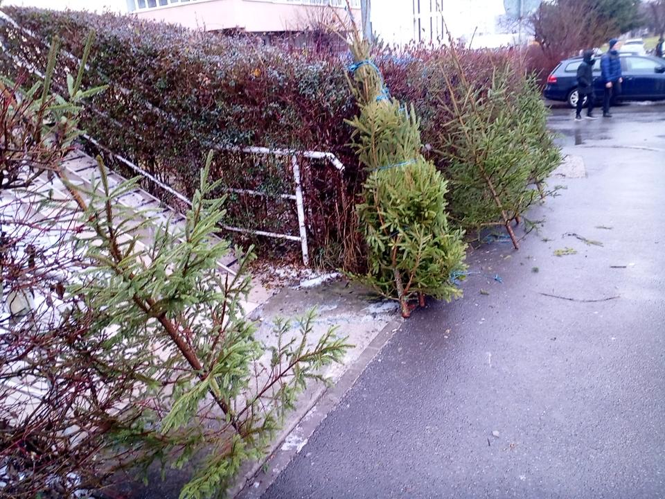 Brazi abandonați de Crăciun în zona Pieței Ion Mester