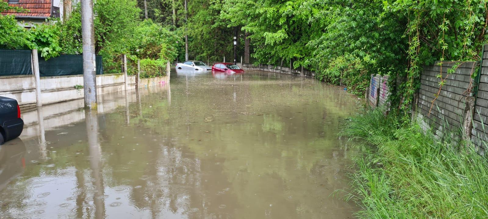 Natura la contrazis pe Emil Boc. La Cluj nu e ca la Barcelona, e ca la Venezia