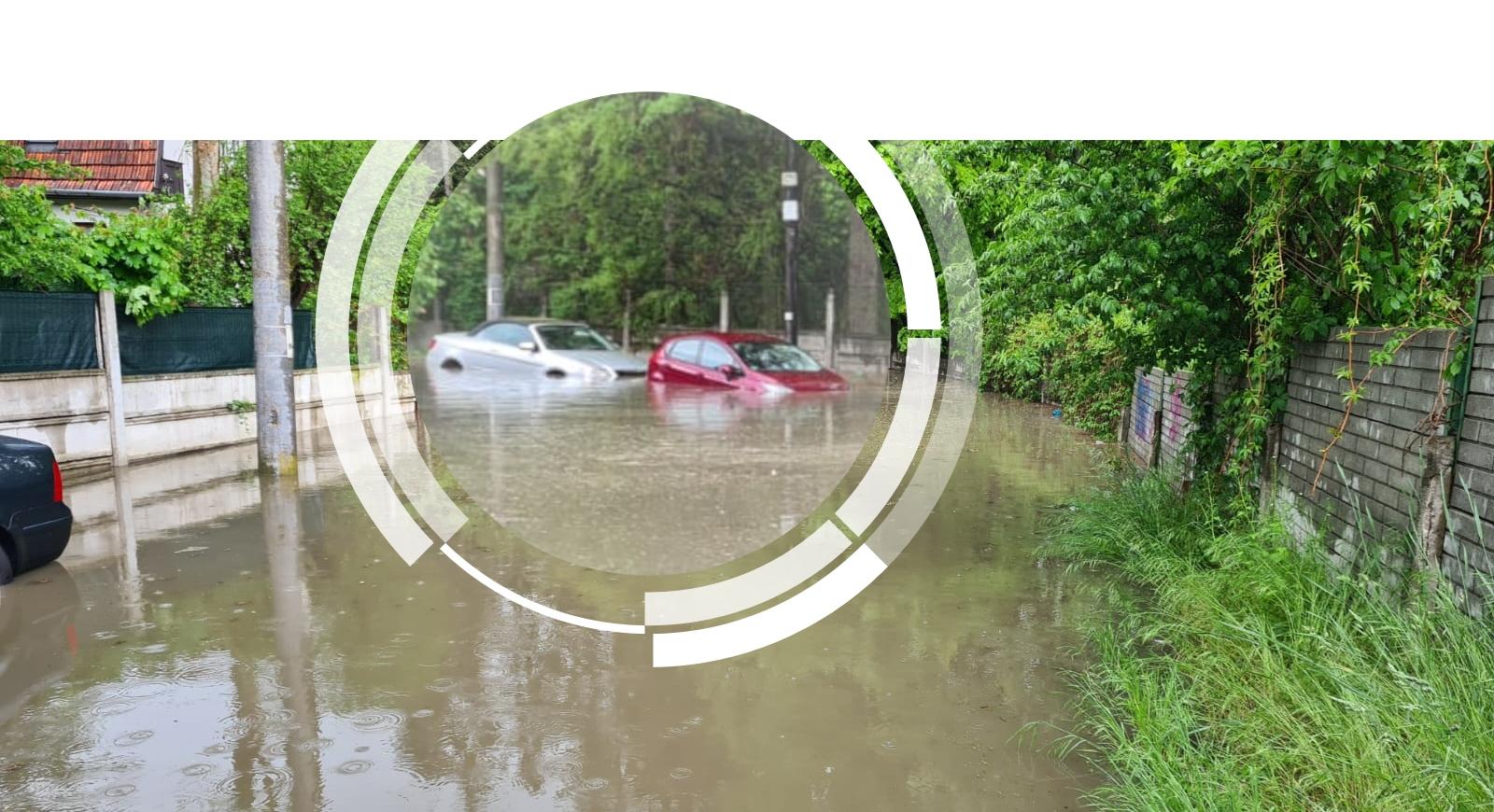 Natura la contrazis pe Emil Boc. La Cluj nu e ca la Barcelona, e ca la Venezia
