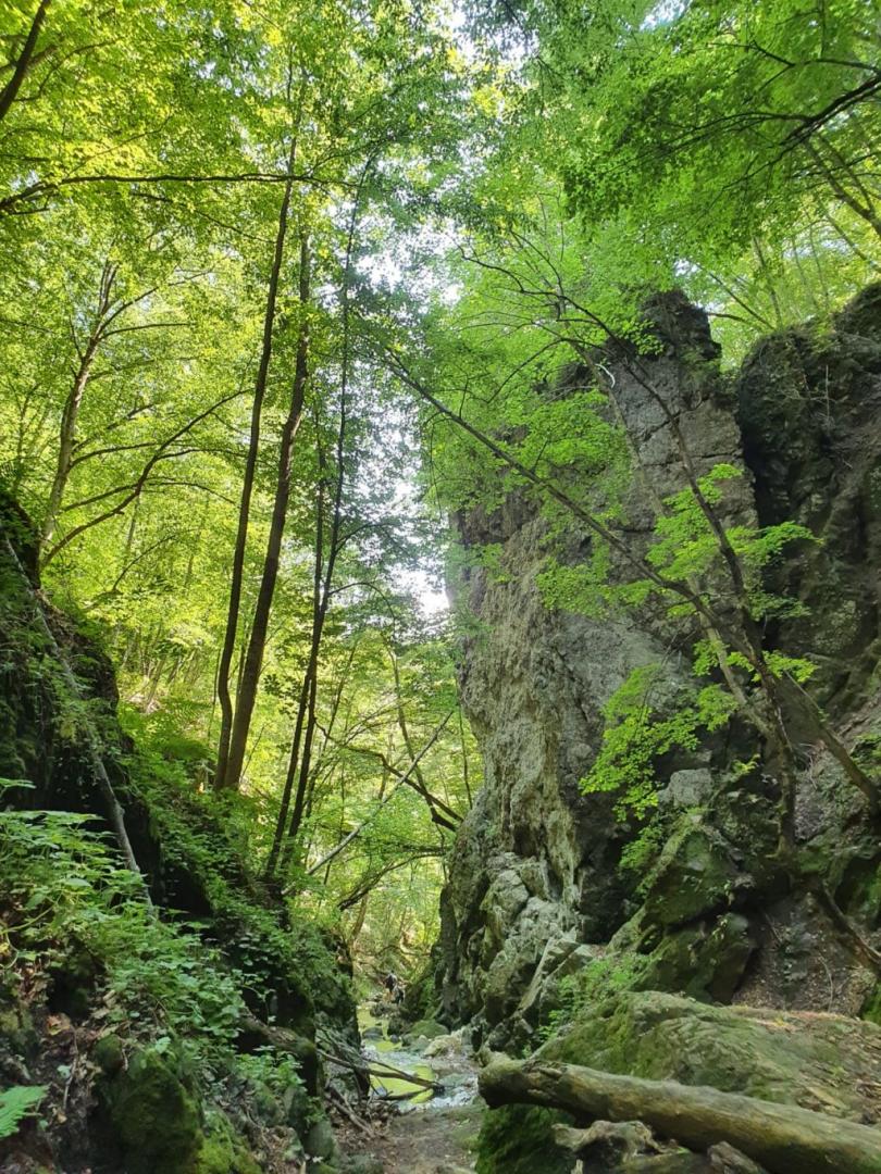 Aventură și relaxare la un pas de Cluj: traseul cu punct rosu și via ferrata