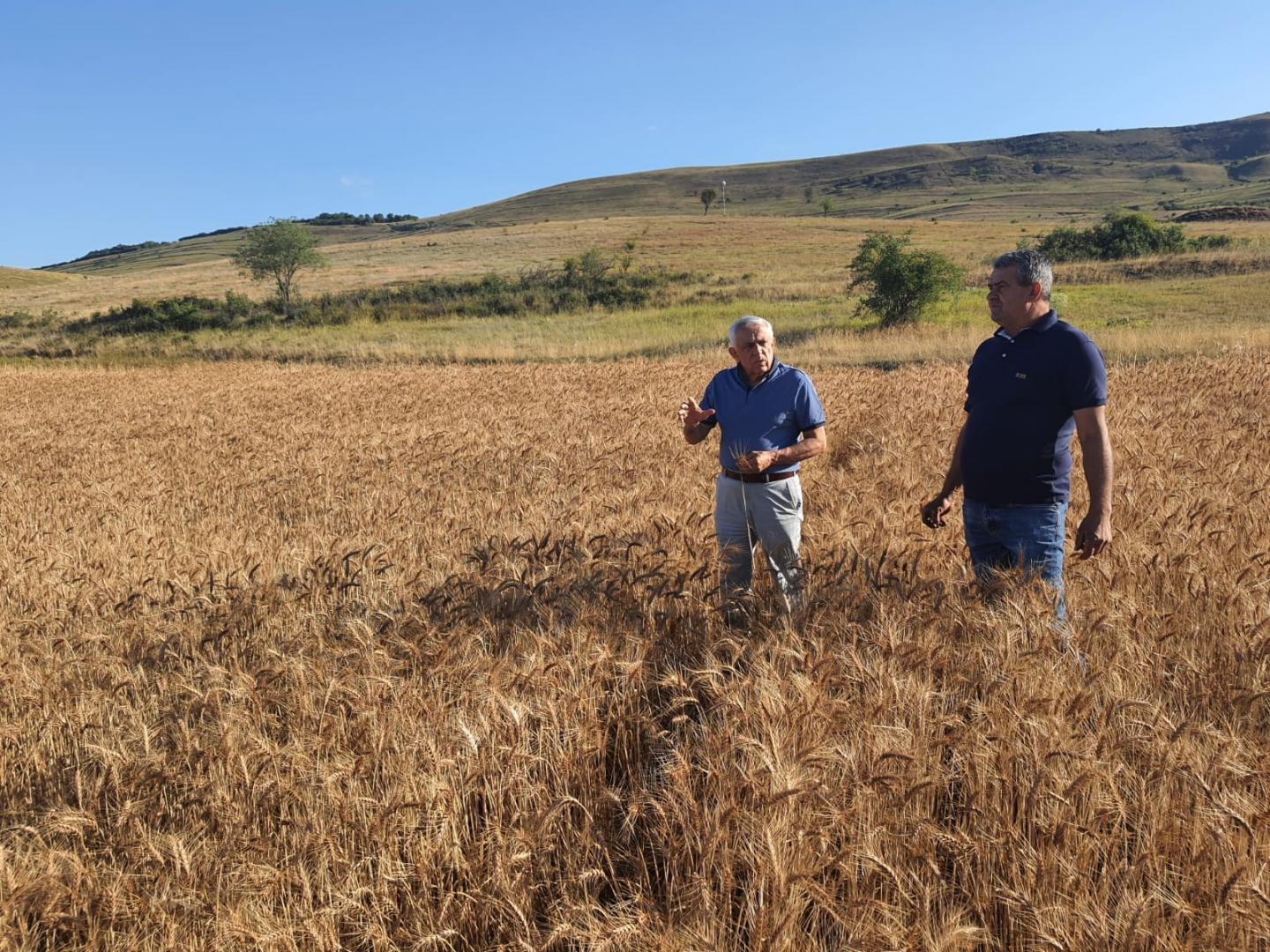 Noul vechi Ministru al Agriculturii, Petre Daea, în vizită de lucru la Cluj. Care e marea precocuapare a acestuia