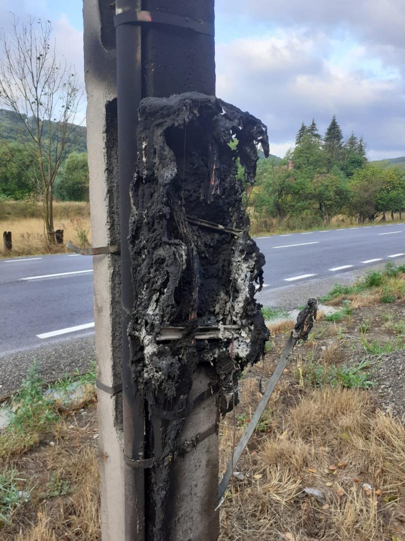 Vijelia a doborât un copac pe un drum din Cluj! A fost nevoie de intervenția pompierilor