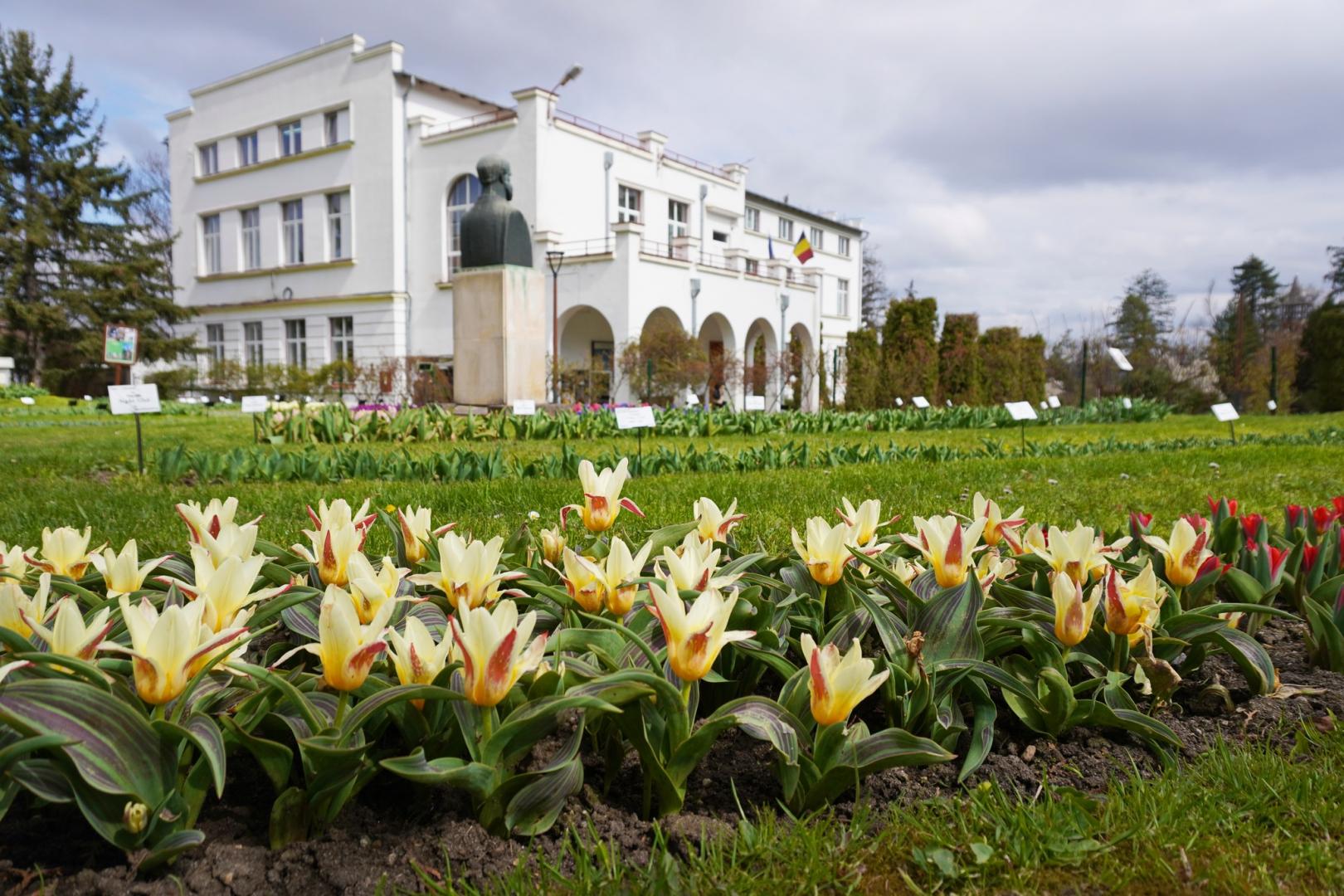 IMAGINI SUPERBE din Grădina Botanică a Clujului. E deschisă și de Paște!