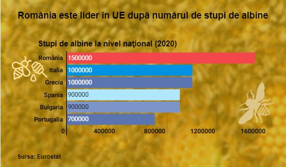 România e pe primul loc din Uniunea Europeană la numărul de stupi de albine. Ce țări am depășit