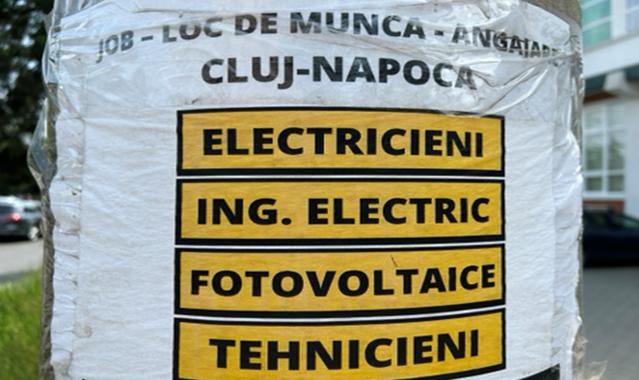 Dragoş Damian, Terapia: Stimaţi Profesori, mediul de afaceri, care se plânge întruna de sistemul de învăţământ, nu a dat nici măcar un singur semnal p