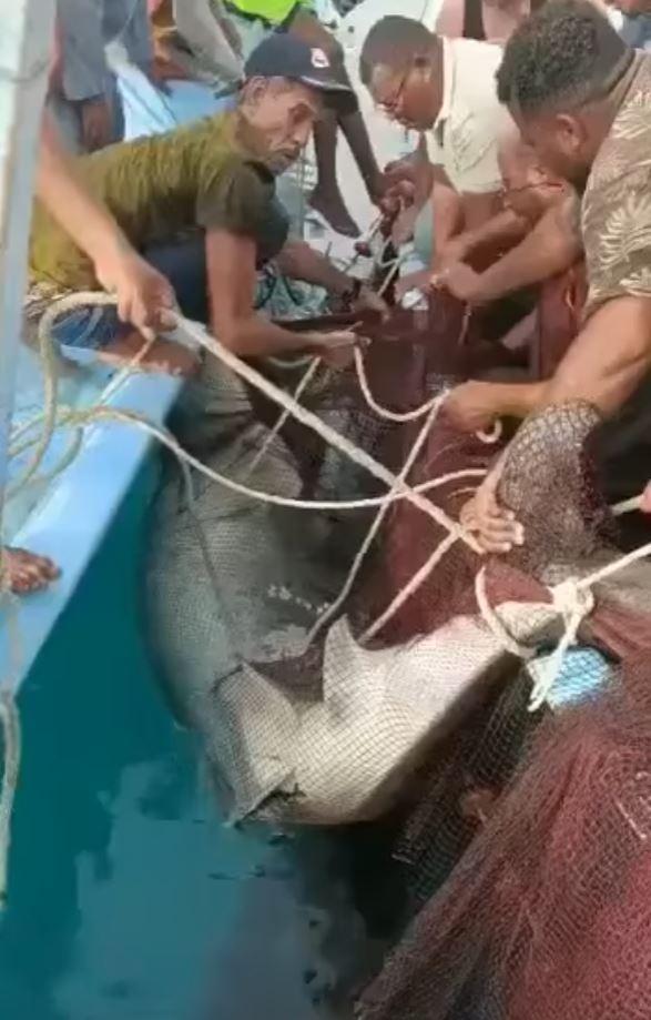 GROAZĂ în Egipt! Un tânăr a fost atacat și ucis de un rechin în Hurghada/ FOTO - Atenție, imagini care vă pot afecta emoțional!